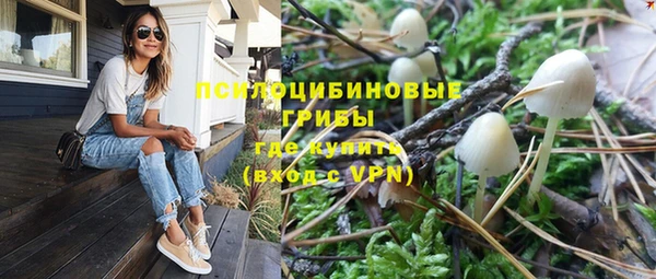 прущие крисы Коряжма