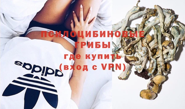 прущие крисы Коряжма