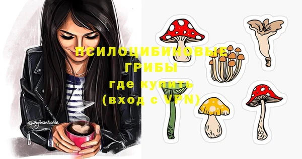 прущие крисы Козловка