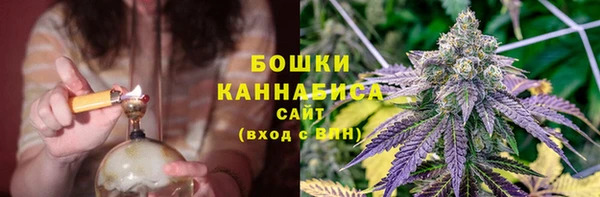 прущие крисы Коряжма